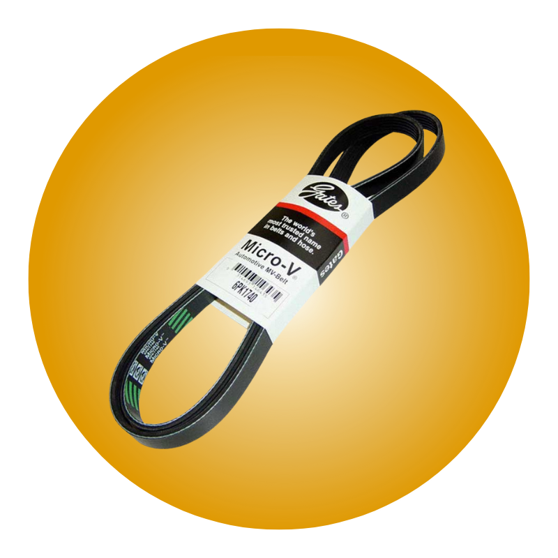 DRIVE BELTS